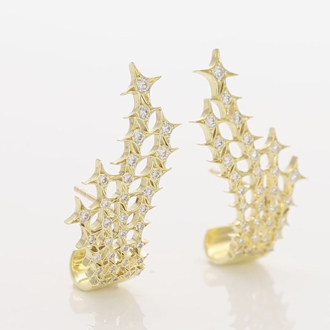 Stellar Net Earrings