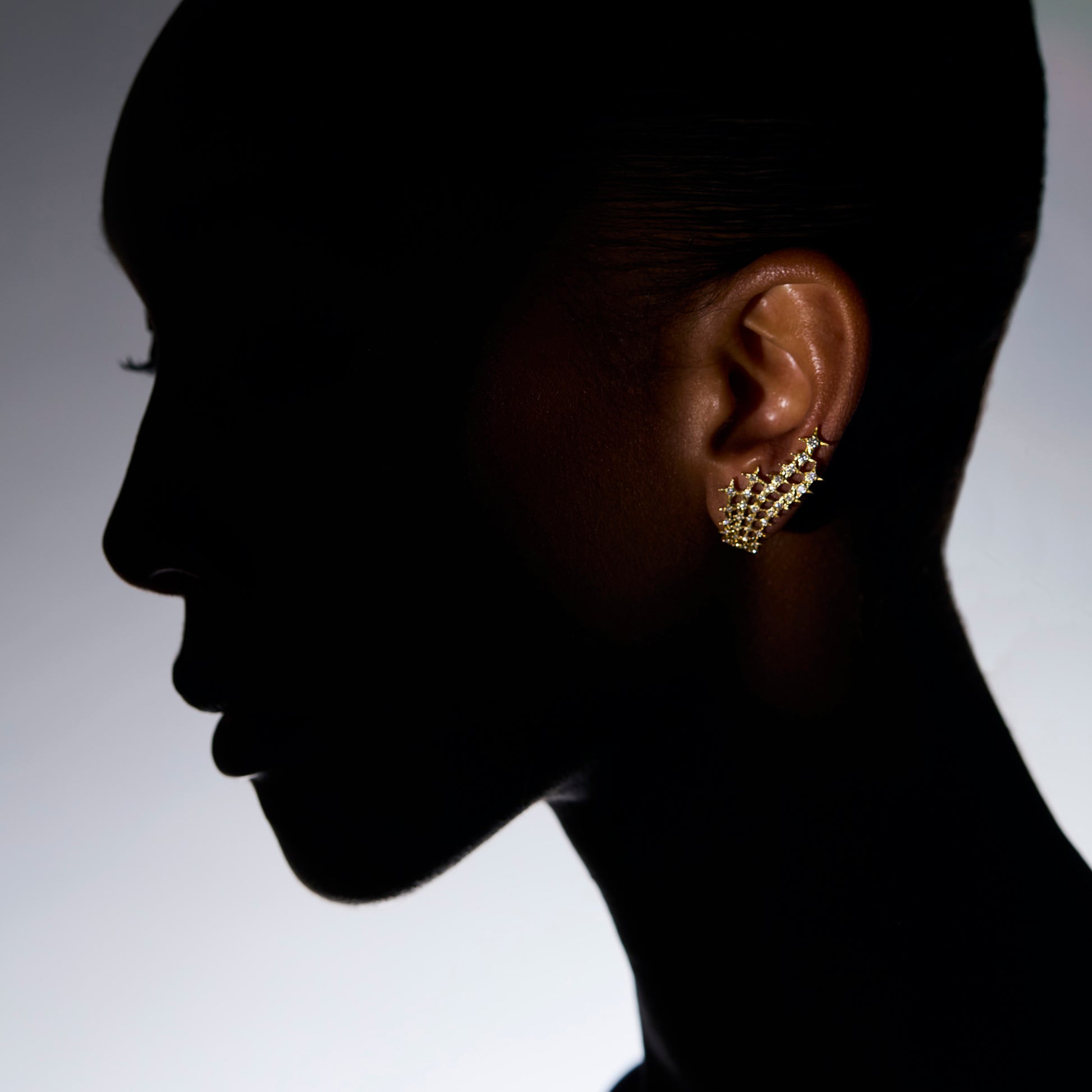 Stellar Net Earrings